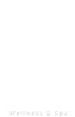 logo-the-sun